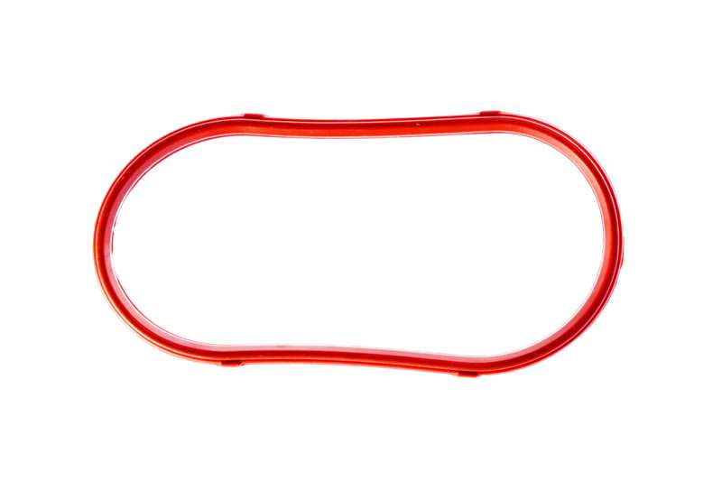 Intake manifold gasket